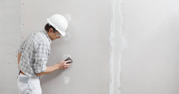 Best Drywall Crack Repair  in Conesus Lake, NY